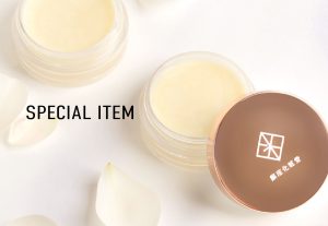 SPECIAL ITEM