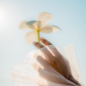 top_img02